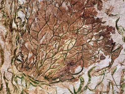 Exposition - La force de vivre