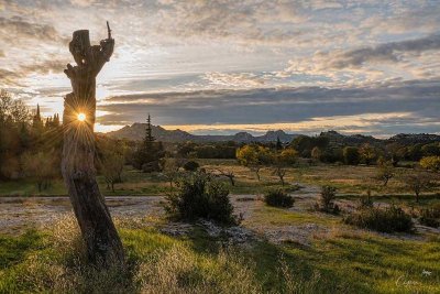 Exposition Art Alpilles- Ombres et Eclats