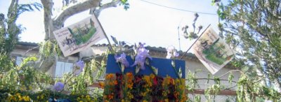 Rencontres photographiques de Saint-Rémy