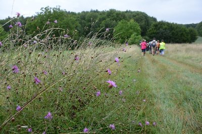 Sentier pédestre "La Louine"