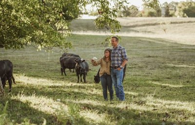 Printemps à la ferme