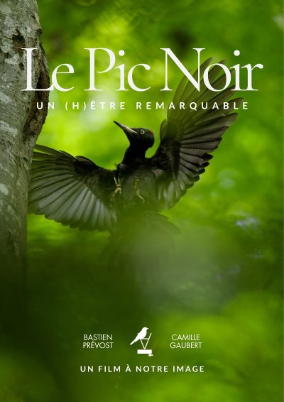 La Naute : Balade/ Ciné /échange