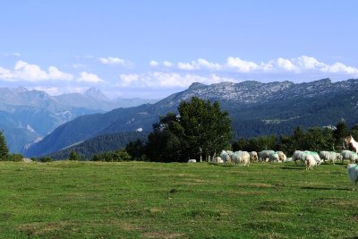 N°12 Barétous - Pic Soulaing