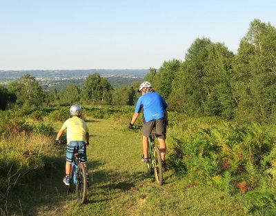 VTT N°73 - Bois de Haut