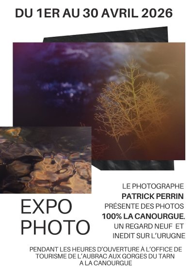 EXPO À L'OFFICE : GISÈLE CAUSSE