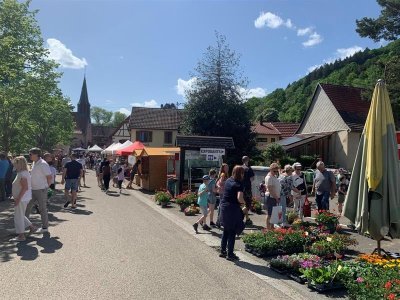 Printemps de Bassemberg