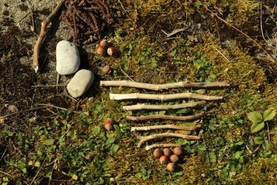 Atelier Land Art en famille