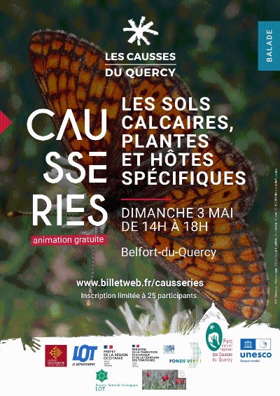 Les sols calcaires, plantes et hôtes spécifiques Balade naturaliste