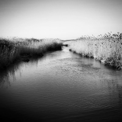 Exposition de photographies et haïkus