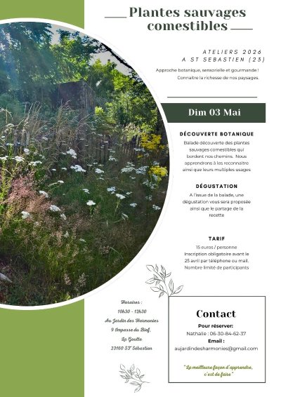 Atelier Plantes sauvages comestibles