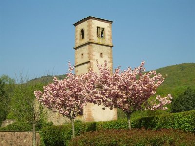 16ème marche du coucou