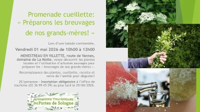 Promenade cueillette  Préparons les breuvages de nos grands-mères