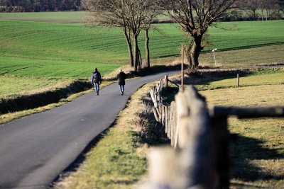Sentier pédestre maillé