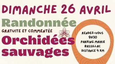 Randonnée Orchidées Sauvages