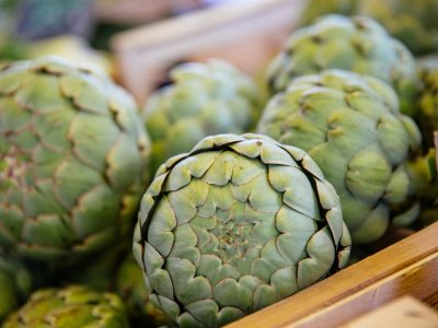 Marché de Captieux le lundi