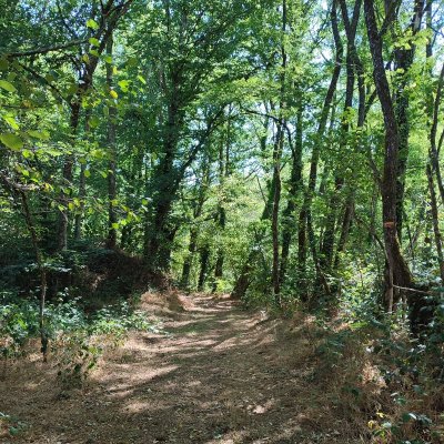 GR®de Pays Monts et Barrages en Limousin – Boucle Entre Combade et Briance – Variante d’Eymoutiers - Étape 3 - Saint-Méard à Châteauneuf-la-Forêt
