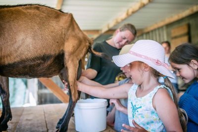 Marché spécial laine à la chevrerit