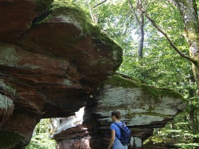 Circuit de l'Englishberg (depuis Wimmenau)