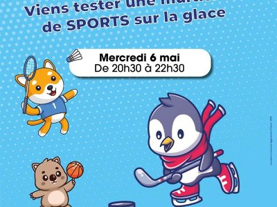 Soirée multisports