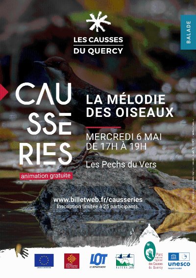 La mélodie des oiseaux
