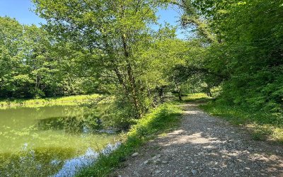 Le lac Ducrest à Arudy