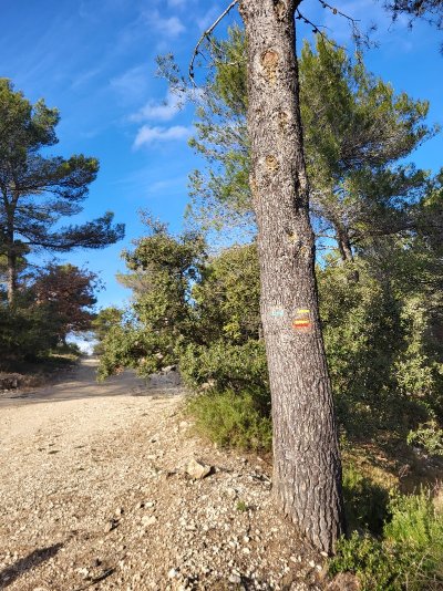 La chapelle Sainte-Anne
