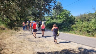 Le chemin de la Font d'Arles