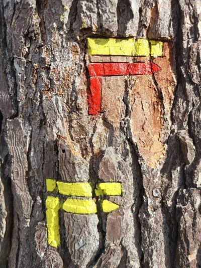 La Crête de la Chaîne des Côtes