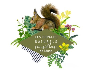 ENS - LES ARBRES ET LEURS HÔTES, DES INTERACTIONS SURPRENANTES !