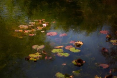 Exposition de photographies de FAN LI