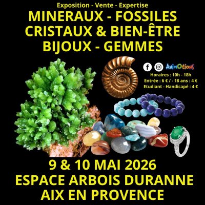 Salon Minéraux Fossiles Cristaux & Bien-Être Bijoux et Gemmes d’Aix en Provence + Exposition l’Histoire de nos Ancêtres