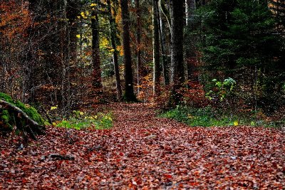 Cleanup