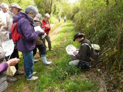 Balade "Sur la piste des habitants des chemins"