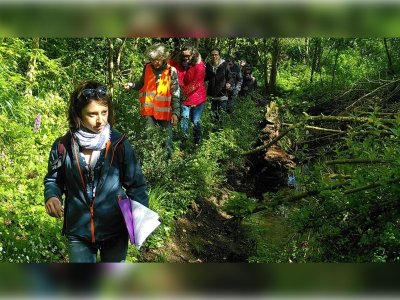 L'histoire du bocage