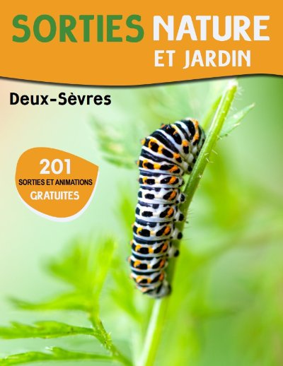 Sortie nature : Découverte des papillons de nuit