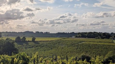 Château Mazeris - "Un dimanche au Château en Fronsadais-Libournais"