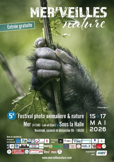 Mer'Veilles nature - Festival photo à Mer