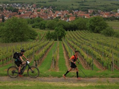 Ultra-trail des chevaliers - Trail Alsace by UTMB