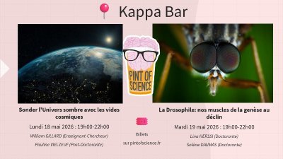 Alzheimer : quand l’immunité joue double jeu - Pint of Science 2026