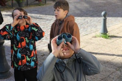 Visite Guidée jeune public
