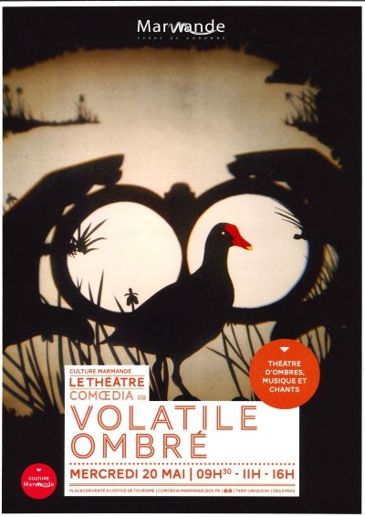 Spectacle immersif - "Volatile Ombré"