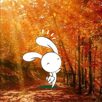 Exposition Trotte Lapin : Les animaux de nos campagnes