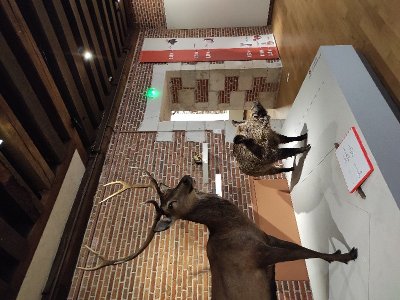 La Nuit Européenne des Musées au Château-Musée de Gien