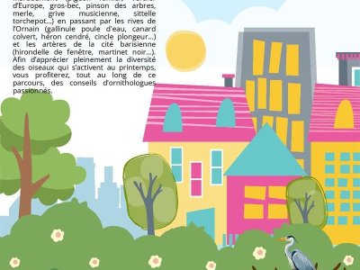 Sortie découverte des oiseaux des parcs urbains et des bords de l'Ornain