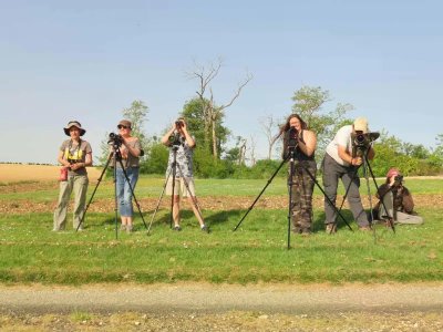 Sortie nature : Journée de la prospection Busards