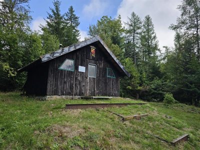 Circuit trail 8 - Le Ballon d'Alsace