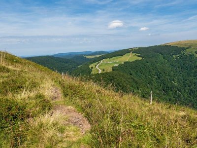 Trail circuit n°8 le Rainkopf
