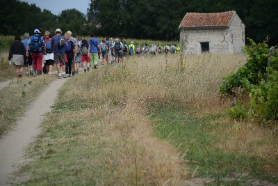 Sentier pédestre marcilly sur vienne