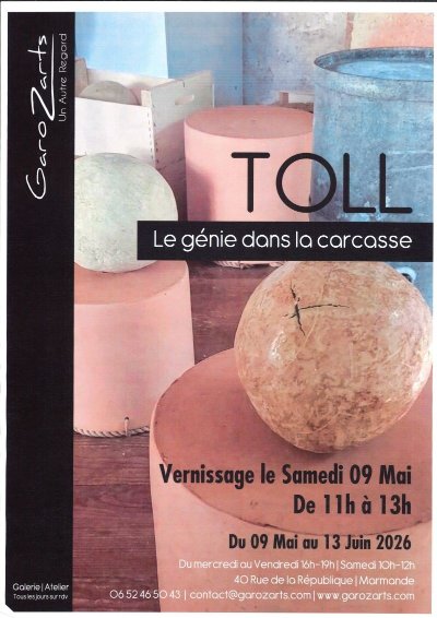 Exposition TOLL "Le génie dans la carcasse" à  GaroZarts