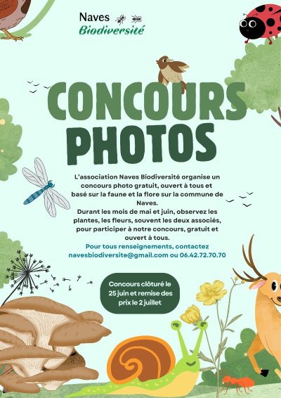 Concours photo